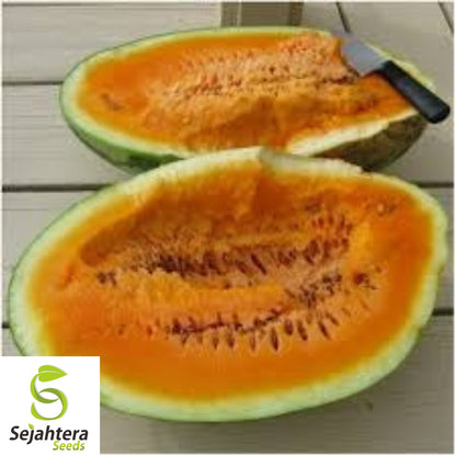 Orangeglo Watermelon Seeds - 10+ Non-GMO, Large, Sweet, 20-30 lb Fruits
