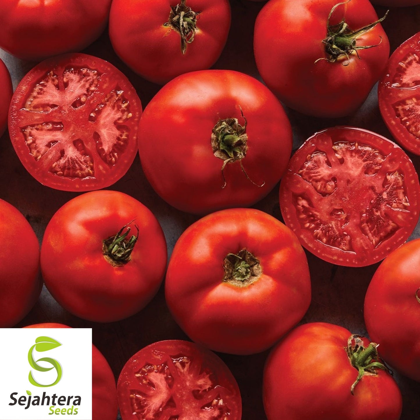 Burpee's Big Boy Tomato Seeds - 120+ Hybrid - Organic - Juicy & Non-GMO