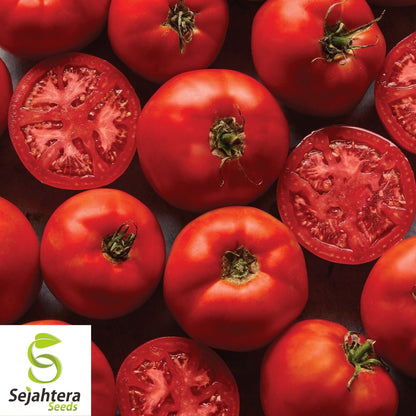 Burpee's Big Boy Tomato Seeds - 120+ Hybrid - Organic - Juicy & Non-GMO