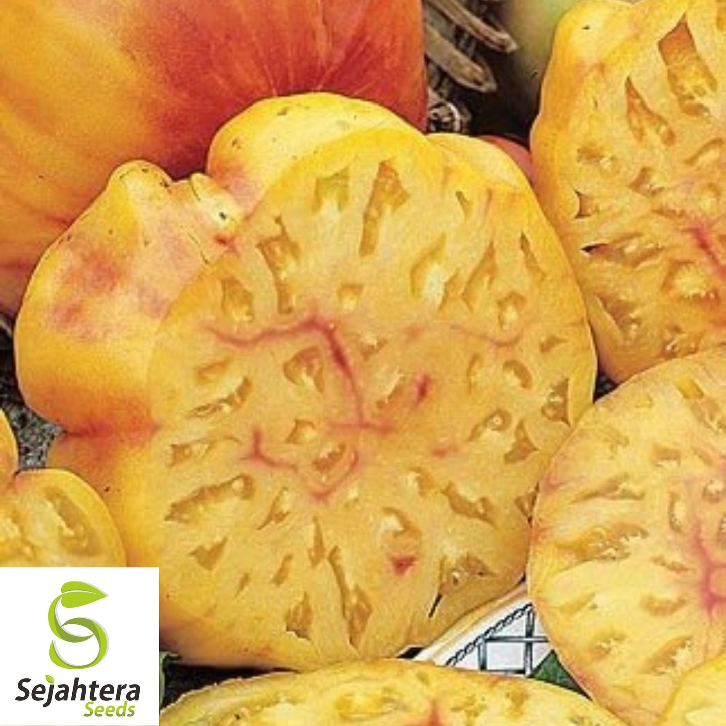 30 Pineapple Tomato Seeds - Non-GMO, Sweet & Colorful Heirloom Variety