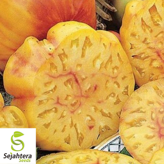 30 Pineapple Tomato Seeds - Non-GMO, Sweet & Colorful Heirloom Variety