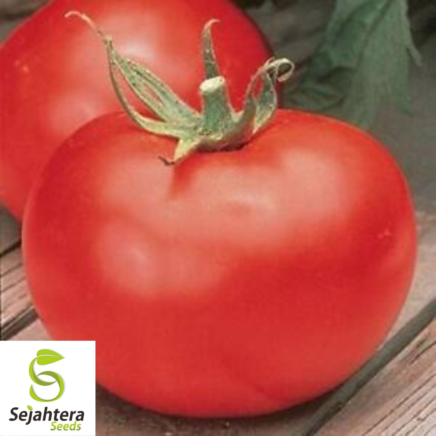 Burpee's Big Boy Tomato Seeds - 120+ Hybrid - Organic - Juicy & Non-GMO