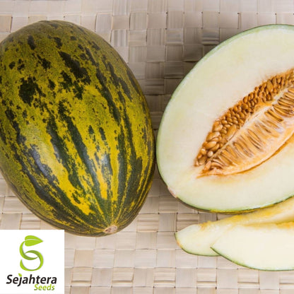 Piel de Sapo Melon Seeds 25+ | Sweet "Santa Claus" Fruit NON-GMO USA