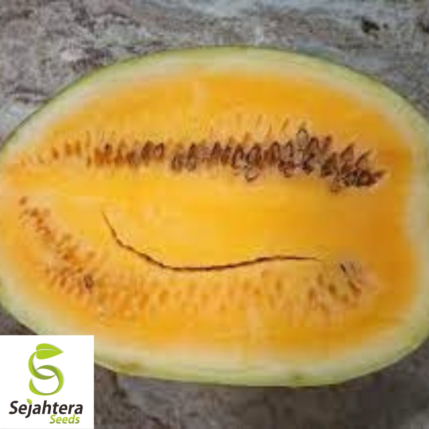 Orangeglo Watermelon Seeds - 10+ Non-GMO, Large, Sweet, 20-30 lb Fruits