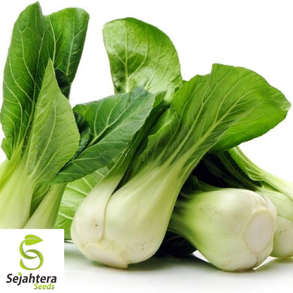 Pak Choi Cabbage Seeds 500+ | White Stem Chinese Vegetable NON-GMO USA