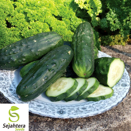 200+ Double Yield Cucumber Seeds - Heirloom, Organic, Non-GMO, High-Yield Variety