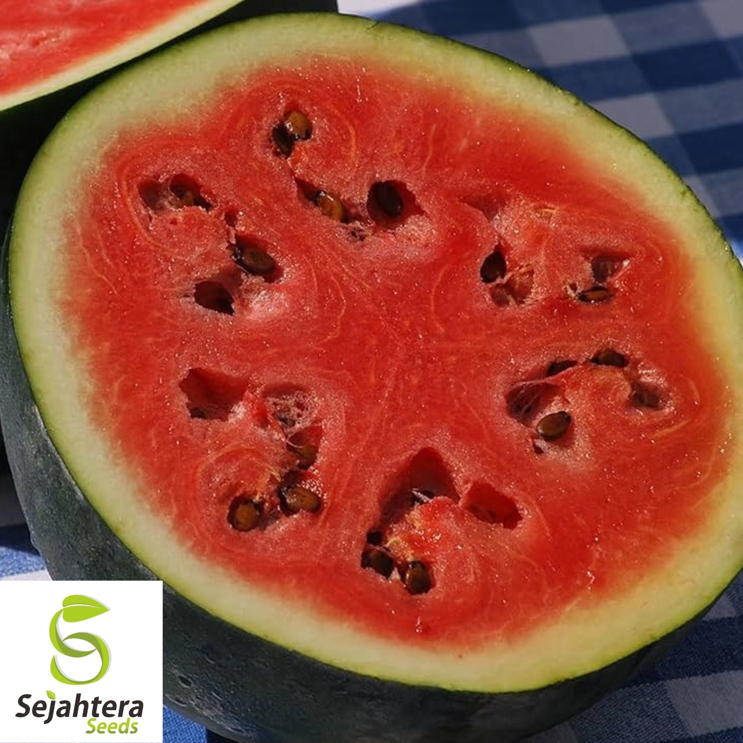 Sugar Baby Watermelon Seeds - 50+ Heirloom - Super Sweet & Non-GMO