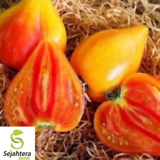 120+ Orange Oxheart Tomato Seeds - Heirloom, Organic, Non-GMO, Rare & Sweet