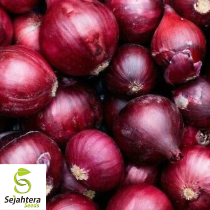 250+ Red Burgundy Onion Seeds - Non-GMO, Heirloom & Sweet Variety