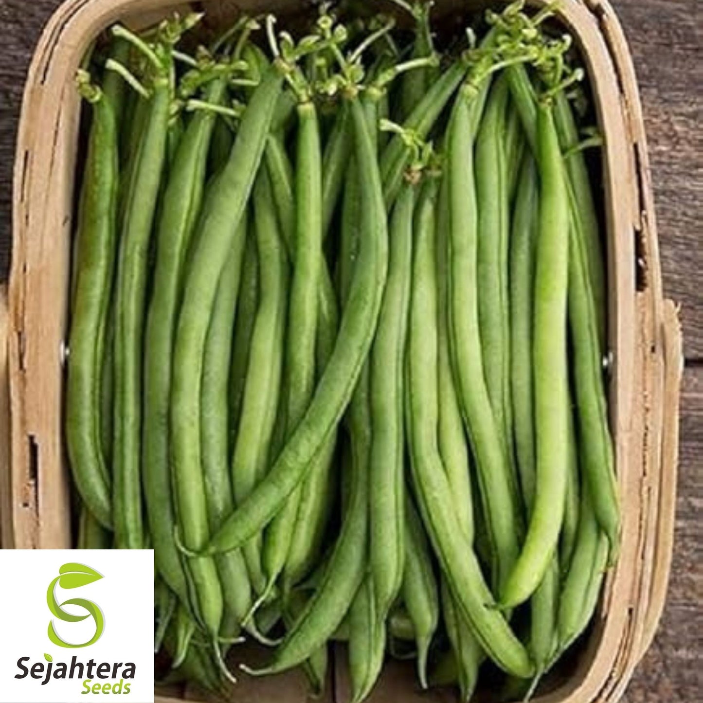 Strike Bean Seeds 50 Ct | Heirloom Bush Pod Green Vegetable NON-GMO USA