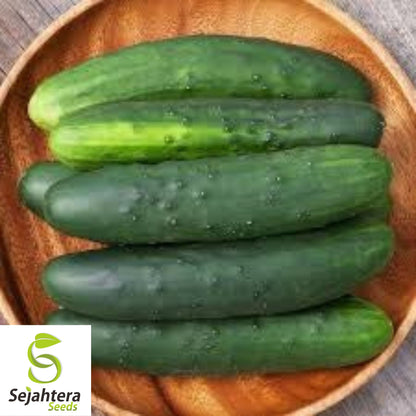 Marketmore 76 Cucumber Seeds - 100+ Heirloom, Organic, Non-GMO & Fresh