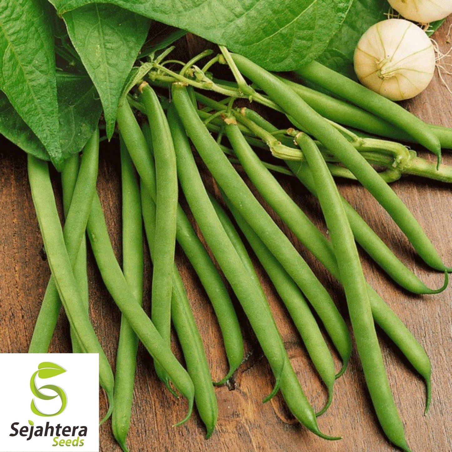 Kentucky Wonder Green Bush Bean Seeds 50 Ct | Heirloom NON-GMO Vegetable USA