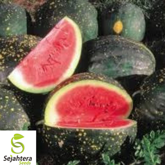 20+ Moon and Stars Red Watermelon Seeds - Heirloom, Non-GMO, 15-25 lbs, Sweet & Rare