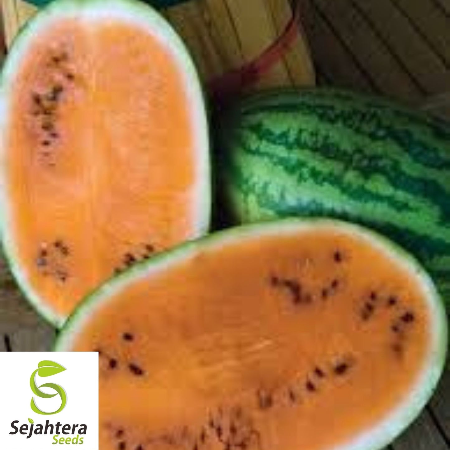 Tendersweet Orange Watermelon Seeds 20 Ct | Fruit 15-30 lbs NON-GMO USA