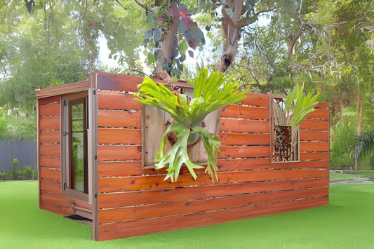 Staghorn Fern Plant | Antler-Like Houseplant | Easy Care Air-Purifying | Platycerium bifurcatum | Unique Tropical Decor