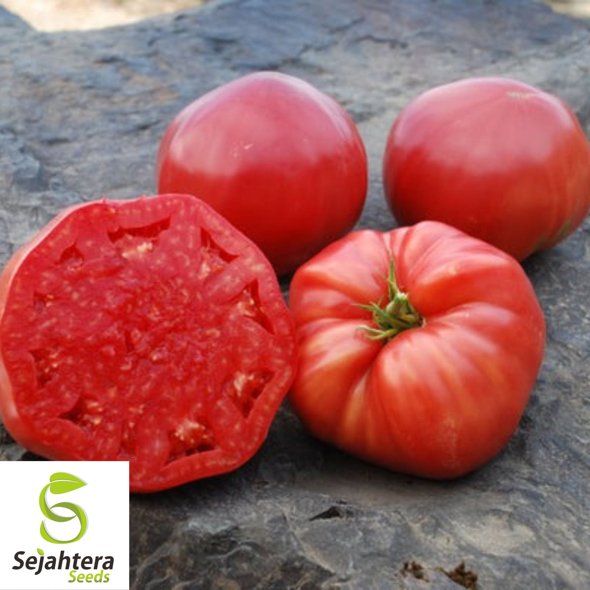 Mortgage Lifter Tomato Seeds - 120+ Heirloom - Large & Juicy - Organic & Non-GMO