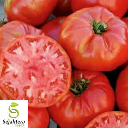 Mortgage Lifter Tomato Seeds - 120+ Heirloom - Large & Juicy - Organic & Non-GMO