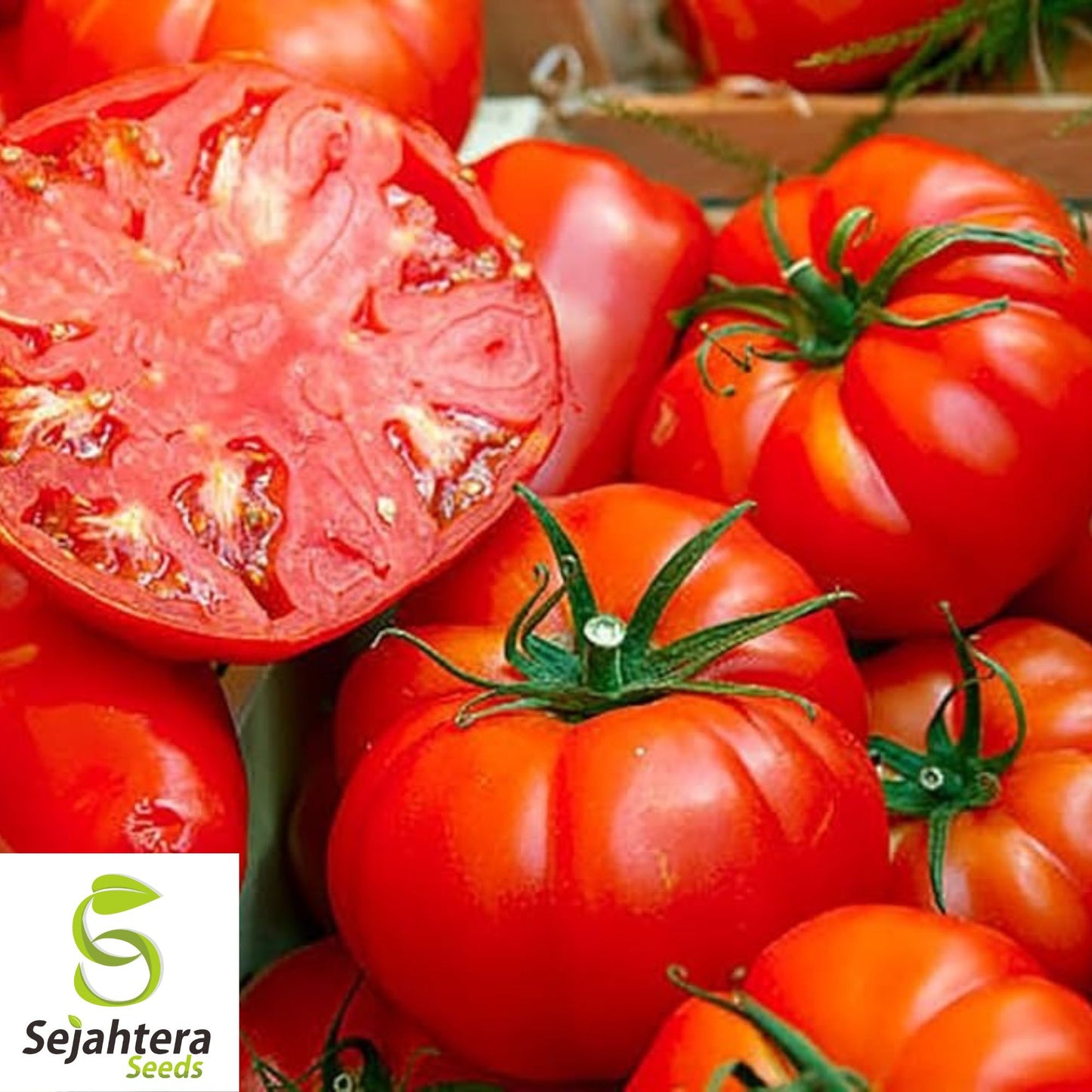 Jersey Tomato Seeds - 30+ Organic, Non-GMO, Beefsteak & Fresh