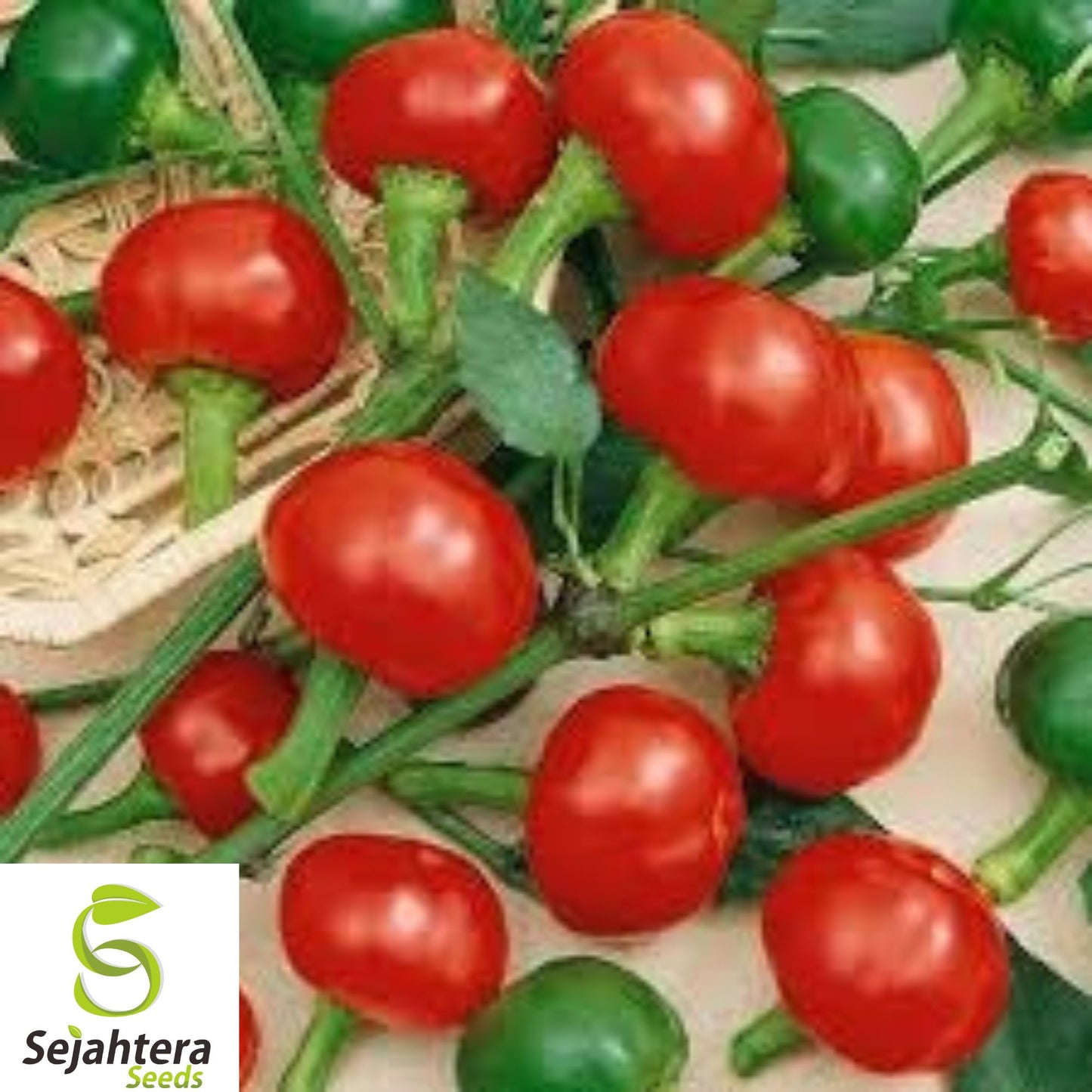 10+ Red Cherry Hot Pepper Seeds - Heirloom, Organic, Non-GMO, Spicy & Flavorful