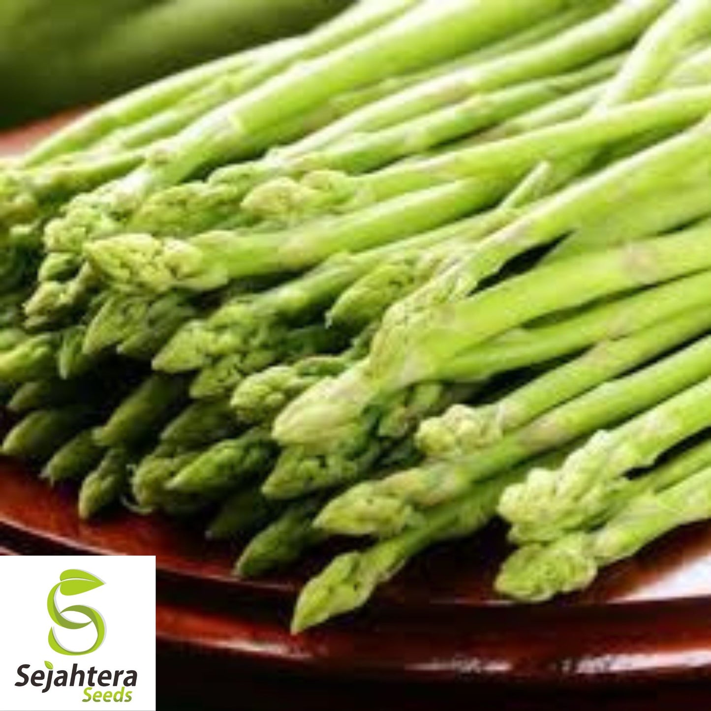 Mary Washington Asparagus Seeds - 100+ Heirloom, Organic, Non-GMO & Perennial