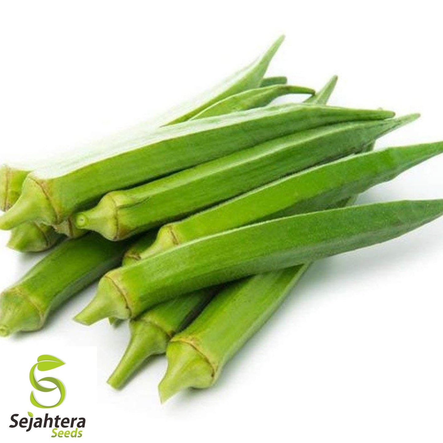 Okra Perkins Long Pod Seeds 30 Ct | Heirloom Vegetable NON-GMO USA
