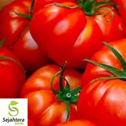 Jersey Tomato Seeds - 30+ Organic, Non-GMO, Beefsteak & Fresh