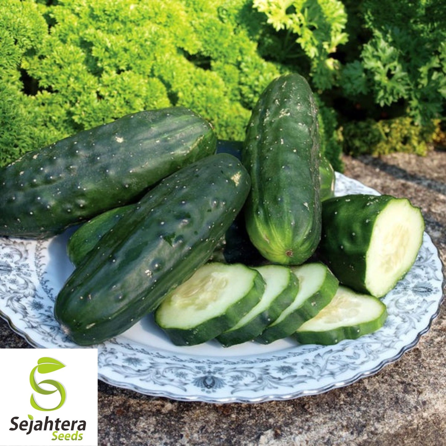 Double Yield Cucumber Seeds - 200+ Heirloom, Organic, Non-GMO & High-Yield