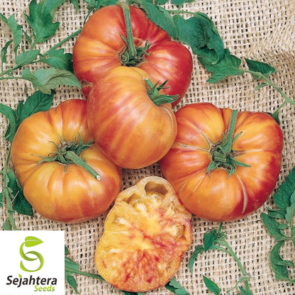 Big Rainbow Tomato Seeds - 120+ Organic Heirloom - Sweet & Juicy - Non-GMO