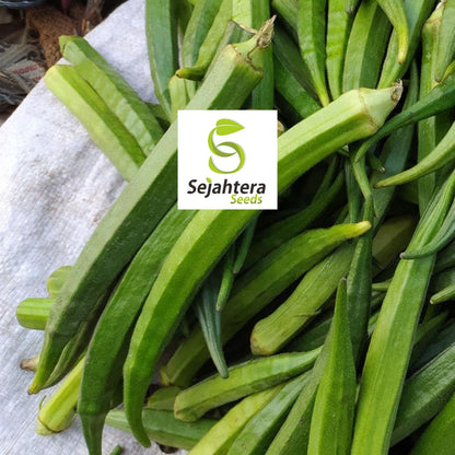 Okra Perkins Long Pod Seeds 30 Ct | Heirloom Vegetable NON-GMO USA