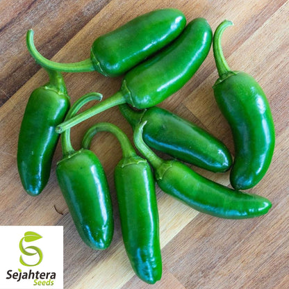 25 Jalapeno M Pepper Seeds - Non-GMO, Medium Heat & Versatile Variety