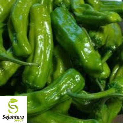 25 Greek Pepperoncini Sweet Pepper Seeds - Non-GMO, Mild & Flavorful Variety