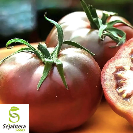 Black Brandywine Tomato Seeds - 10+ Heirloom, Organic, Non-GMO & Fresh