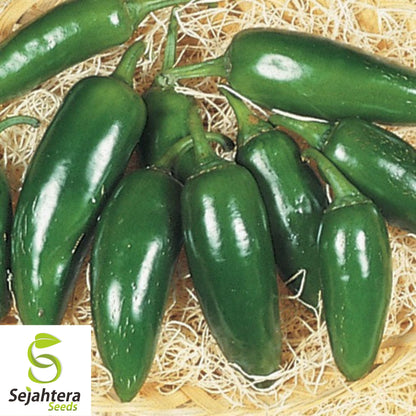 25 Jalapeno M Pepper Seeds - Non-GMO, Medium Heat & Versatile Variety