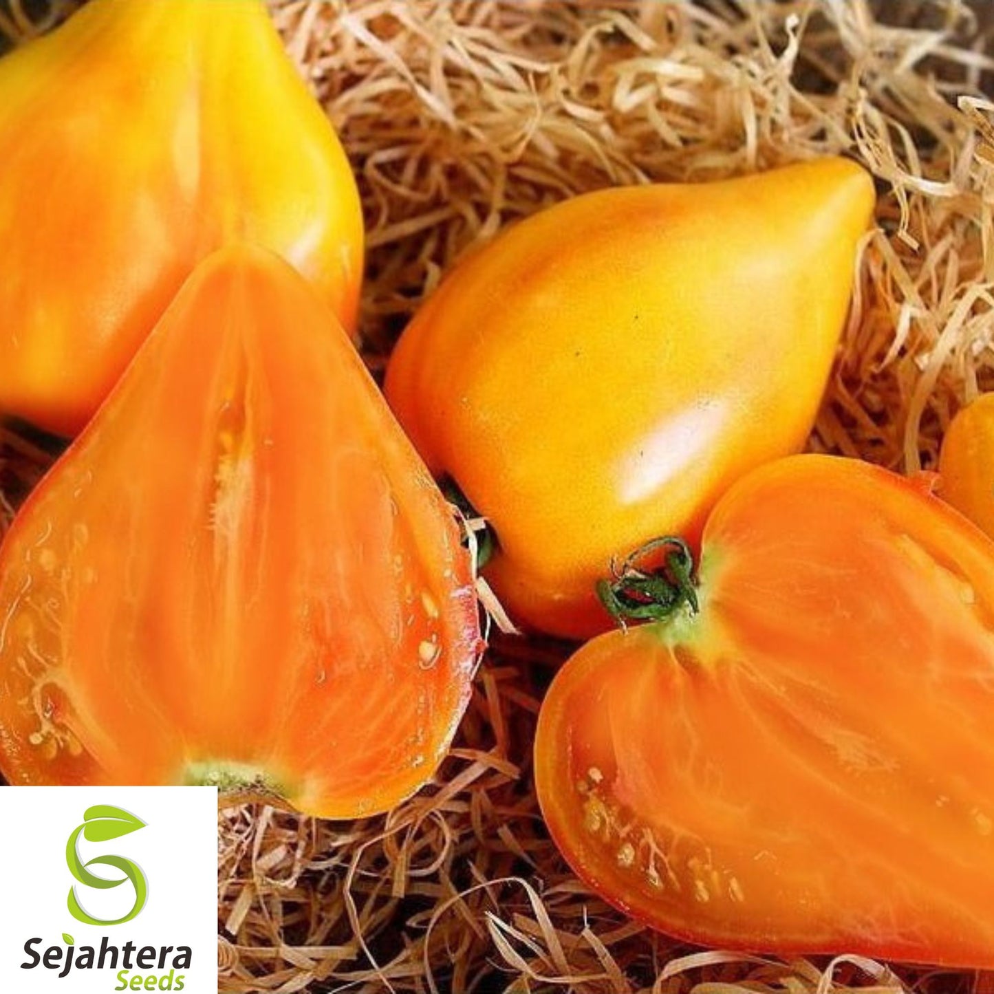 120+ Orange Oxheart Tomato Seeds - Heirloom, Organic, Non-GMO, Rare & Sweet