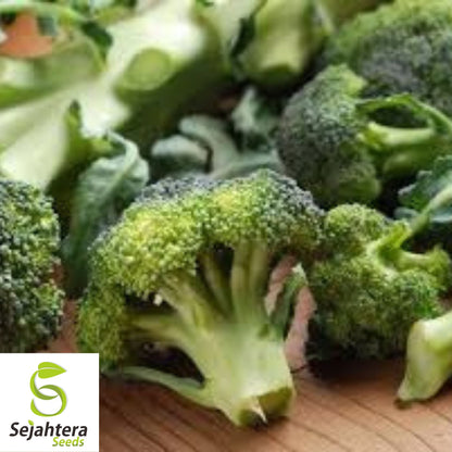 Waltham 29 Broccoli Seeds - 25+ Heirloom, Organic, Non-GMO & Fresh