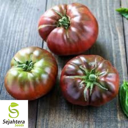 Black Brandywine Tomato Seeds - 10+ Heirloom, Organic, Non-GMO & Fresh