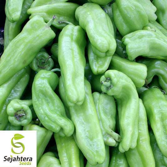 50+ Cubanelle Pepper Seeds - Non-GMO, Sweet & Versatile Vegetable Variety