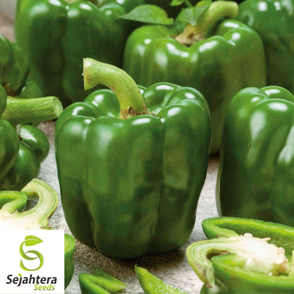 Emerald Giant Bell Pepper Seeds - 120+ Organic Heirloom - Sweet & Non-GMO