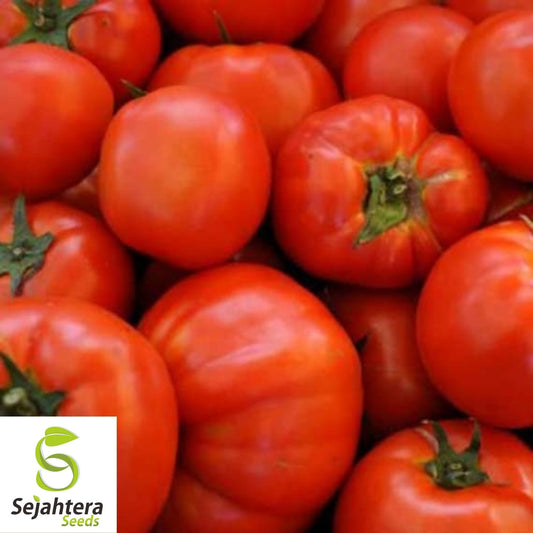 Beefsteak Tomato Seeds 100 Ct | Heirloom NON-GMO Vegetable Garden USA