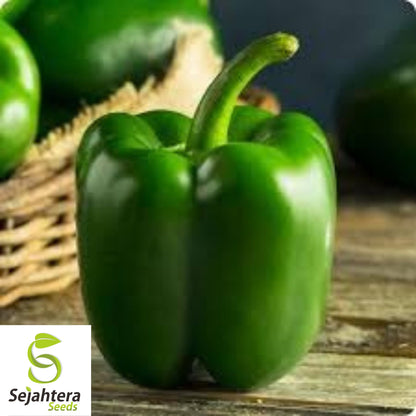 Emerald Giant Bell Pepper Seeds - 120+ Organic Heirloom - Sweet & Non-GMO