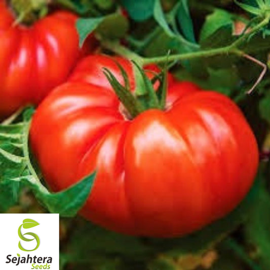 120+ Giant Beefsteak Tomato Seeds - Huge Heirloom, Organic, Non-GMO, Juicy Tomatoes