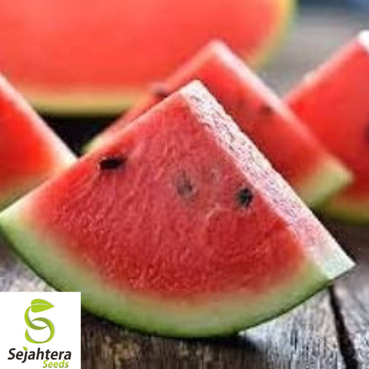 24+ Florida Giant Watermelon Seeds - Heirloom, Organic, Non-GMO, Huge & Sweet
