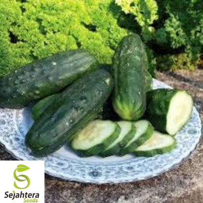100+ Double Yield Cucumber Seeds - Heirloom, Organic, Non-GMO, High-Yield & Fresh