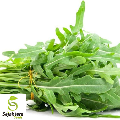 Arugula Seeds 1000+ | Roquette Rocket Heirloom Herb Garden NON-GMO USA