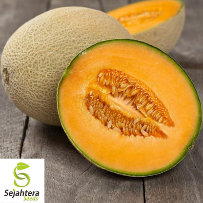 Iroquois Cantaloupe Seeds 50+ | Muskmelon Fruit Heirloom Garden USA