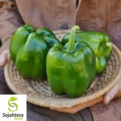 Emerald Giant Bell Pepper Seeds - 120+ Organic Heirloom - Sweet & Non-GMO