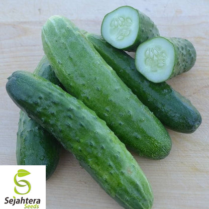 100+ Double Yield Cucumber Seeds - Heirloom, Organic, Non-GMO, High-Yield & Fresh