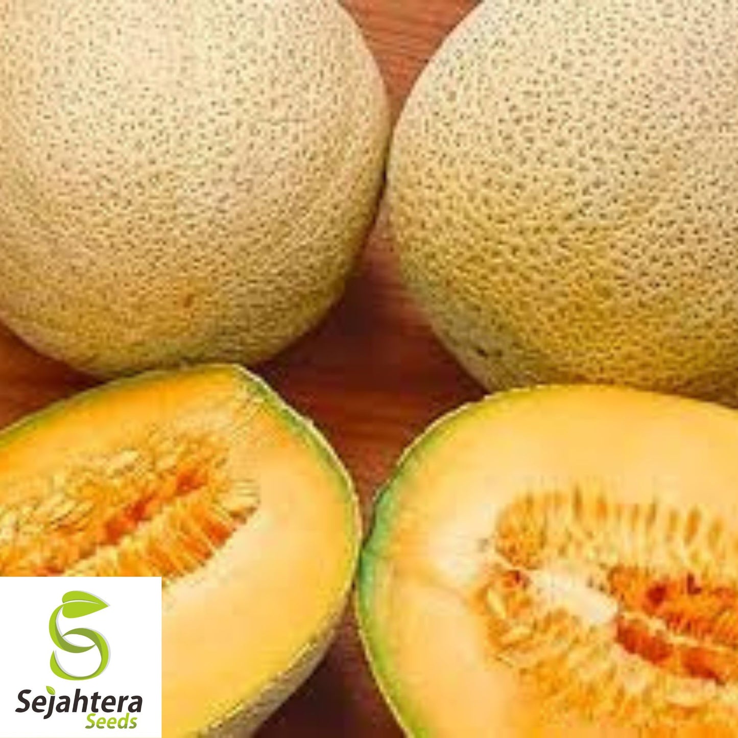 Iroquois Cantaloupe Seeds 50+ | Muskmelon Fruit Heirloom Garden USA