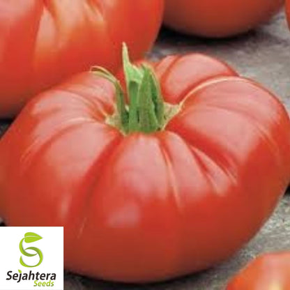Beefsteak Tomato Seeds 100 Ct | Heirloom NON-GMO Vegetable Garden USA