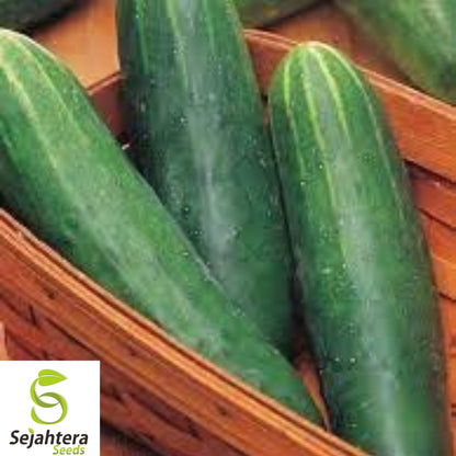 100+ Double Yield Cucumber Seeds - Heirloom, Organic, Non-GMO, High-Yield & Fresh